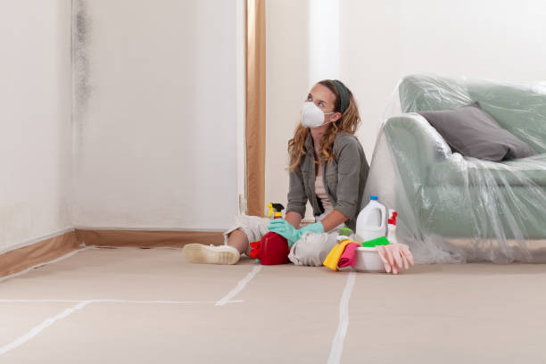Reliable Mold Removal contractor in Argyle, TX by WQB Mold Removal